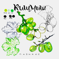 кишмиш - пазнякс