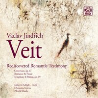 Symphony in E Minor, Op. 49: IV. Allegro assai - Zdeněk Klauda & L'Armonia Terrena & Milan Al-Ashhab