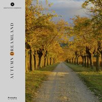 My Harbor of Honesty - Meditation Ambience