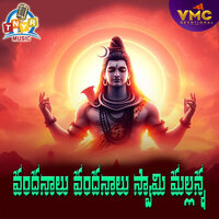 Vandalu Vandalu Swame Mallanna - Garjana