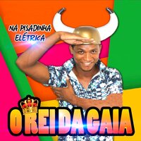 MONTA LOGO VAI - O REI DA GAIA