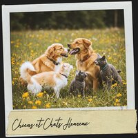 Ruhige Hearth-Klanglandschaft - Cat Music Therapy & Dog Relaxation & Bruit Blanc
