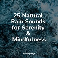 Croaking Creeks - Trouble Sleeping Music Universe & Nature Sound Collection & Natural Sounds