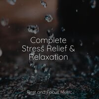 At Peace With the Mind - Pet Care Music Therapy & Study Concentration & Tibetan Singing Bowls for Relaxation