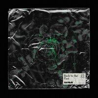 Back to the past - Raven