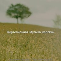 Атмосфера (Спать) - Фортепианная Музыка желобок