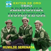 El Llorar - Trio Armonia Huasteca