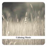 From Night to Morning - Violin and Piano Relax