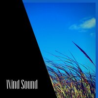 Wind Sound - ASMR Wind Channel & Wind Noise & Sleep & Wind White Noise Channel