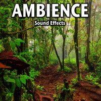 Ambience Sound Effects