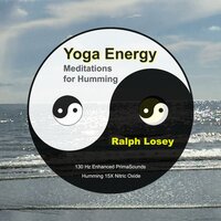 Mindful Meditations - Ralph Losey