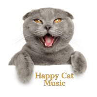 Chasing My Tail - Jazz Music for Cats