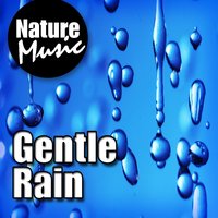 Open Your Eyes - Light Rain for Meditation - Nature Music