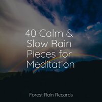 Rainy Woodland Ambience - Guided Meditation & Rain Sounds Sleep & Native American Flute