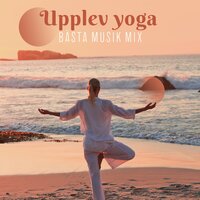 Sju energiska fält - Lugn Musik Atmosfär