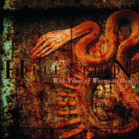 Y Draig Goch - Hollenthon