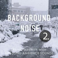 Exploring the City in Winter Soundscape, Pt. 19 - Thomas O'Reilly
