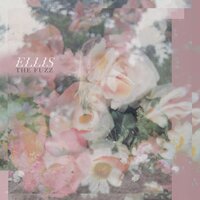Frostbite - Ellis