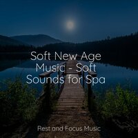 Deep Asleep, Totally Relaxed - Música de la Naturaleza & Binaural Beats Isochronic Tones Lab & Chakra Meditation Universe