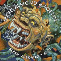 Bruise n'  Chain - Marc Almond & The Flesh Volcano