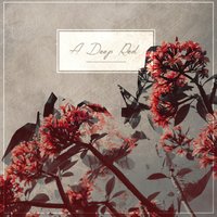 Chapters - Code I