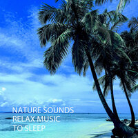 Melting Crickets Sound - Relaxing Music Therapy & Relaxing Music For Sleeping & Relaxing Music for Stress Relief