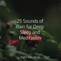 Meadows, Birds, Summer, Rustle - Spa & Kundalini: Yoga & Rain Drops for Sleep