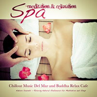 River of Souls - Shanti Chakra Friends & Oliver Shanti