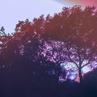 Take me back - Trigger