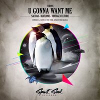 U Gonna Want Me - Saccao & Biatlone & Vintage Culture & Dayne S