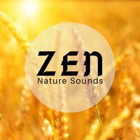 Zen Nature - Healing Music Spirit