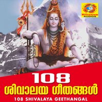 Om Namah Shivaya - Madhu Balakrishnan
