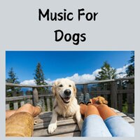Quiet Backyard Symphony - Music for Dogs & Music for Dogs Peace & Relaxing Puppy Music & Calm Pets Music Academy