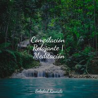Aguas Terrenales - Sonidos de lluvia para dormir & Masaje Tantrico Musica Colección & Musica para Meditar Especialistas