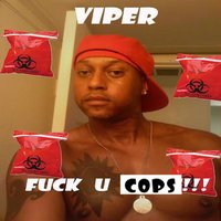 Blew They Mind - Viper