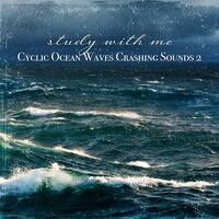 Cyclic Ocean Waves Crashing Sounds, Pt. 4 - Sebastian Riegl