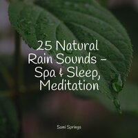 Trickling Flows - Natural Sound Makers & It's Raining