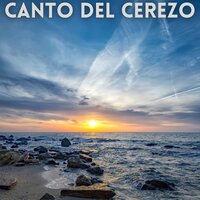 Mente Positiva - Meditacion Celestial