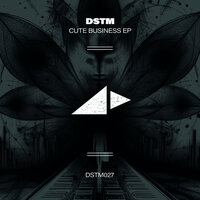 Inspired Mission - DSTM