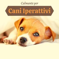 Imita il tuo animale domestico - Music for Dogs Collective