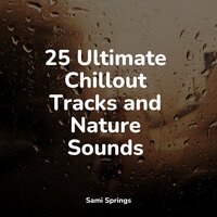 Seagulls on the Beach - Spa Music Relaxation & Nature Sounds XLE Library & Guided Meditation Music Zone