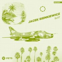 Mustang - Jacek Sienkiewicz