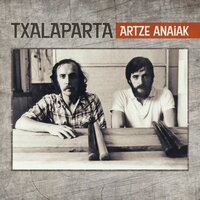 Bat bateko saioa bi - Artze Anaiak