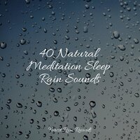 Jungle, Evening, Quiet, Birds - Academia de Meditação Buddha & Life Sounds Nature & Sol y Lluvia