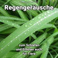 Friede bei Regenwetter - Regengeräusche & ReGen & Naturgeräusche