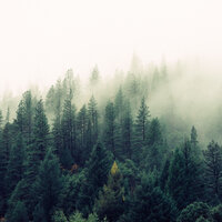 Nature Sounds for Deep Sleep, Nature Sounds, Pt. 9 - Nature Sounds ASMR & Nature Sounds & Sounds of Nature Noises