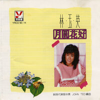 深深的恋情 - 林玉英