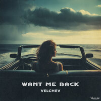 Want Me Back - Velchev