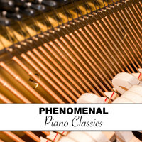 Schubert's Fantasy in C Major Wanderer IV Allegro - Background Piano Music & Piano Relax, Ambient Piano, Background Piano Music & Piano Relax & Ambient Piano