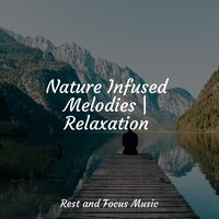 Soft Serendipity - Best Kids Songs & Massage Therapy Music & Alpha Waves